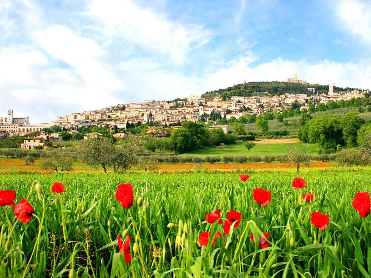 B&B Il Sognatore Perugia Zewnętrze zdjęcie